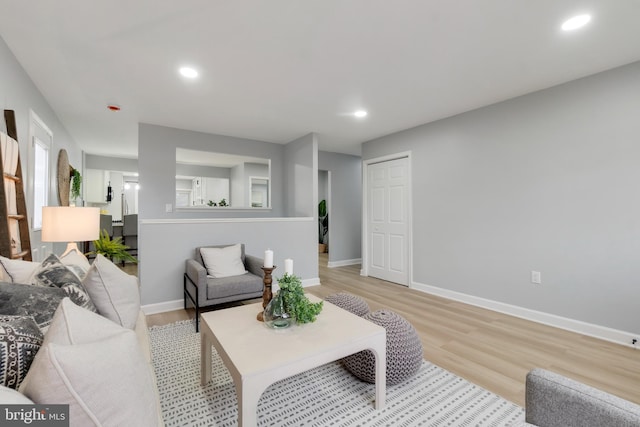 living room featuring light wood-type flooring