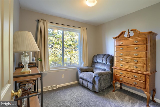 sitting room with carpet