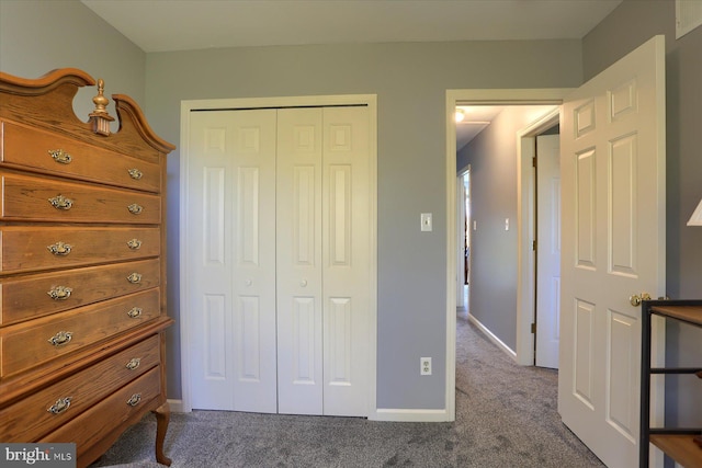 bedroom featuring carpet floors and a closet