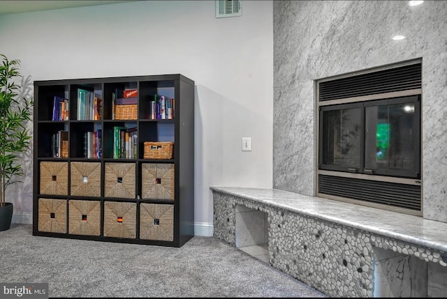 room details featuring carpet flooring