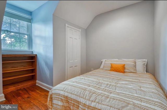 bedroom with lofted ceiling, hardwood / wood-style floors, and a closet