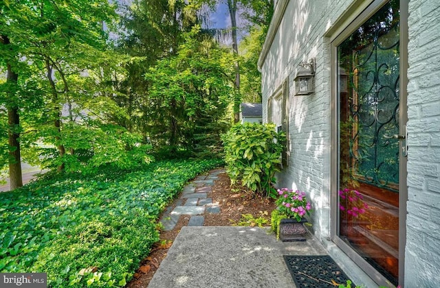 view of yard featuring a patio area