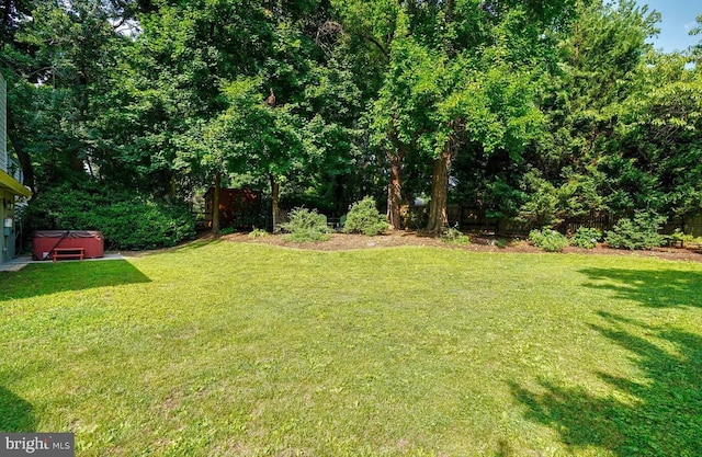 view of yard with a hot tub