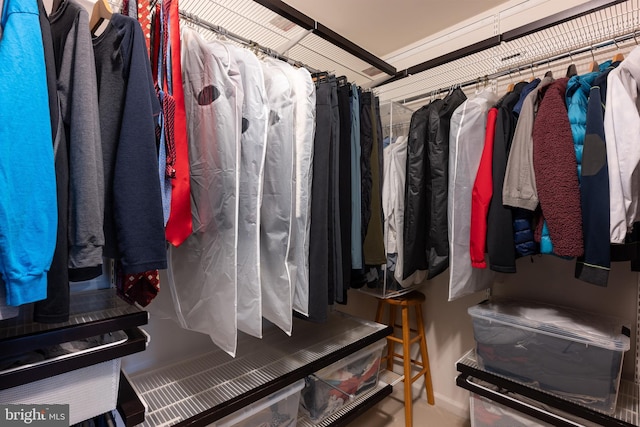 view of spacious closet