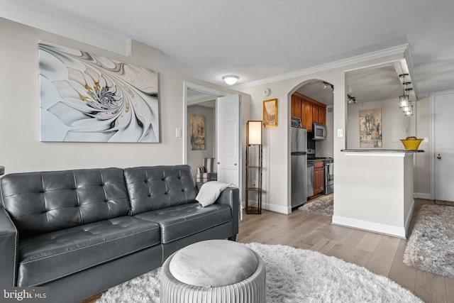 living room featuring crown molding and light wood-type flooring