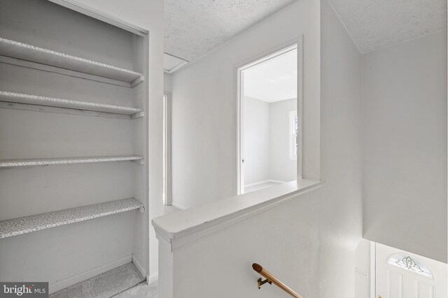 walk in closet with carpet floors