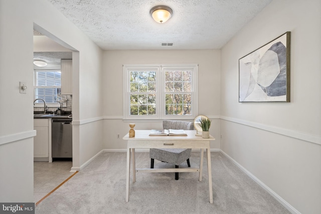 unfurnished office featuring light carpet, sink, and a textured ceiling