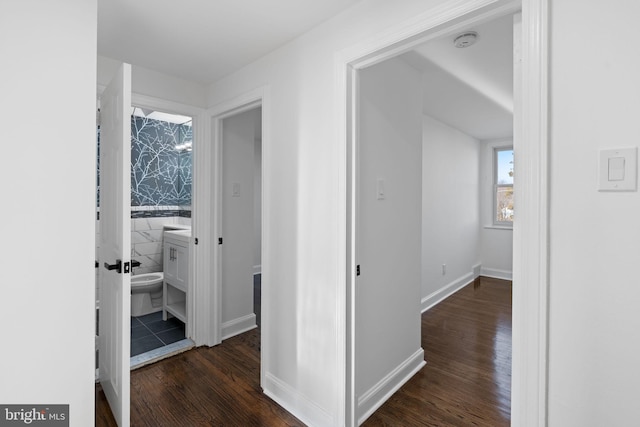 hall featuring dark hardwood / wood-style floors