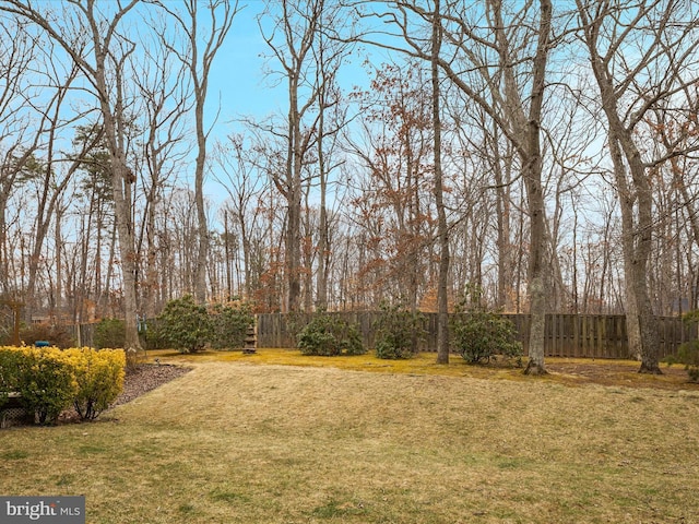 view of yard with fence