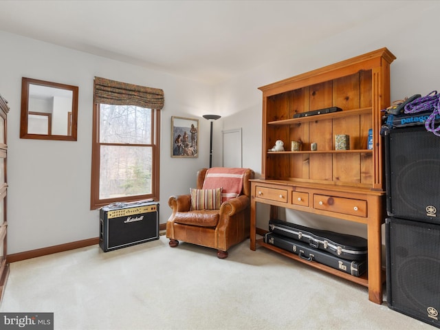 living area with carpet and baseboards