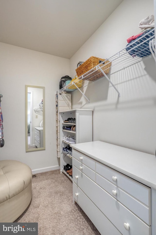 spacious closet with light colored carpet