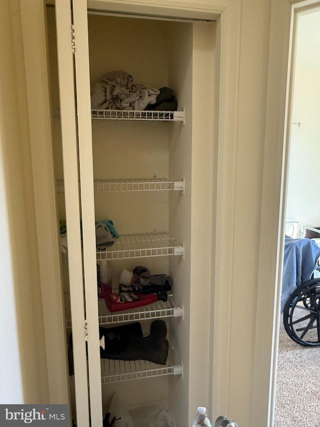 view of closet