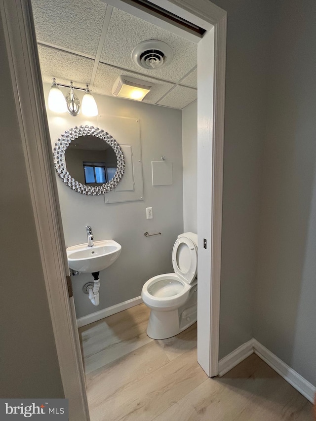 bathroom with visible vents, a sink, wood finished floors, a drop ceiling, and baseboards