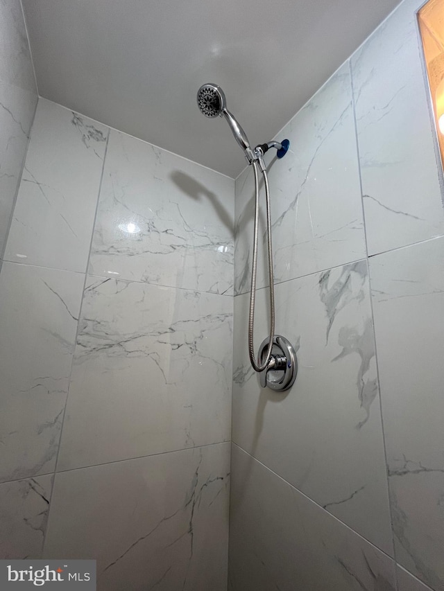 room details with tiled shower