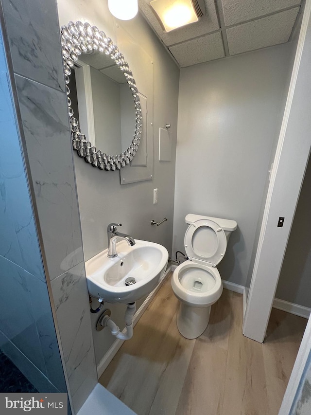 bathroom with toilet, a sink, wood finished floors, a drop ceiling, and baseboards