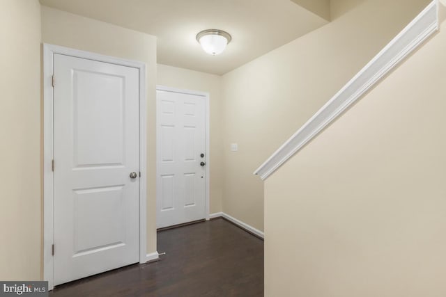 entrance foyer with dark wood-type flooring