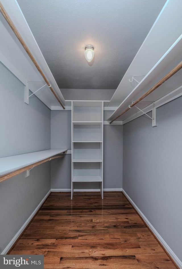 spacious closet featuring dark wood-type flooring