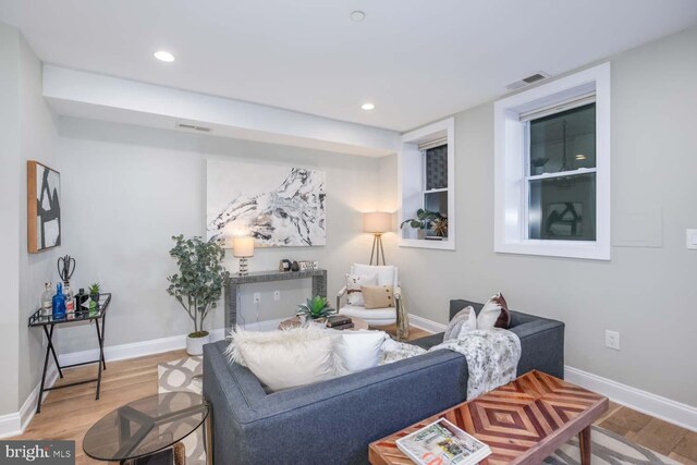 living room featuring hardwood / wood-style flooring