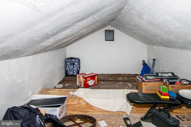 additional living space with lofted ceiling