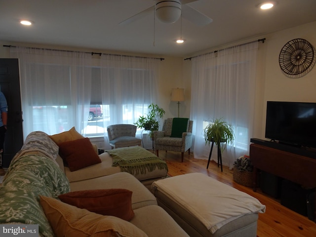 living room with hardwood / wood-style flooring and ceiling fan