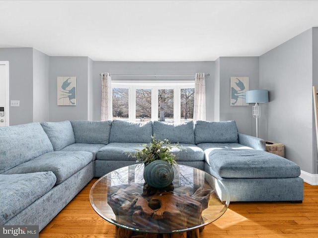 living room with wood-type flooring