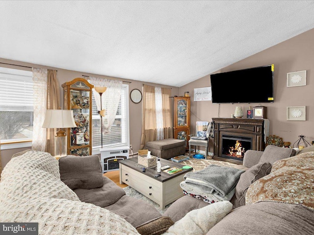 living room with vaulted ceiling, a textured ceiling, and a wealth of natural light