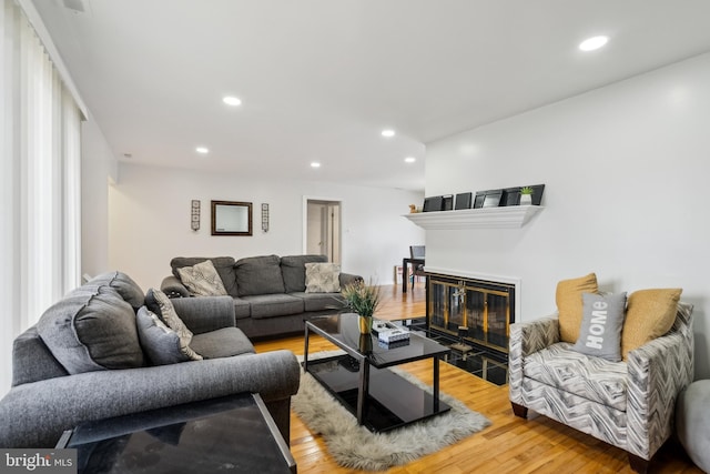 living room featuring hardwood / wood-style flooring