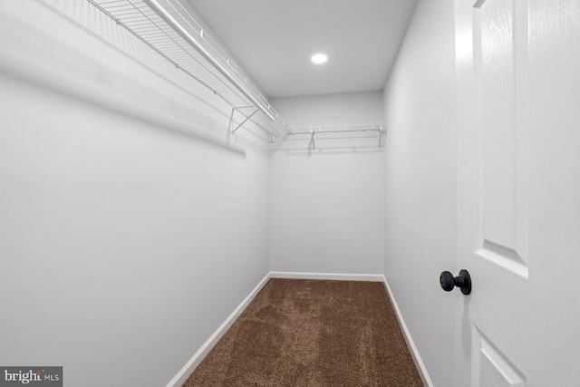 spacious closet featuring carpet