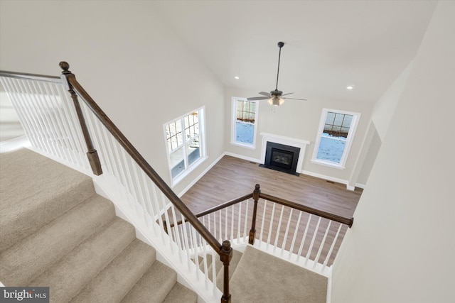 stairs featuring ceiling fan, a towering ceiling, plenty of natural light, and wood-type flooring