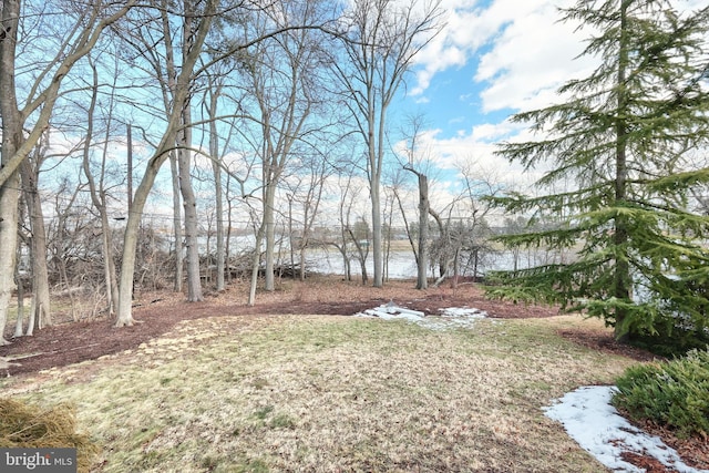 view of yard with a water view