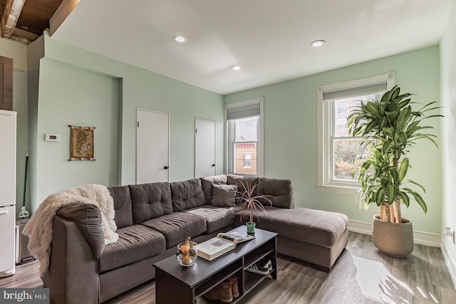 living room with hardwood / wood-style flooring