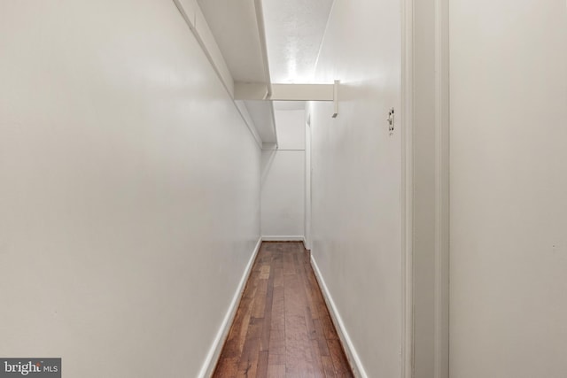 walk in closet with hardwood / wood-style floors