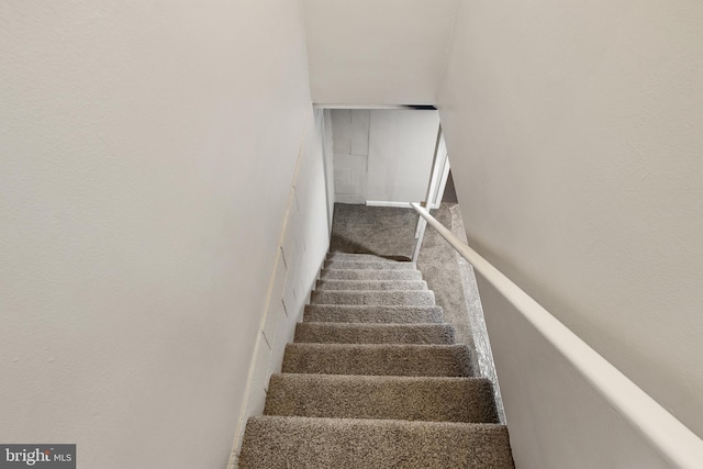 stairs with carpet flooring