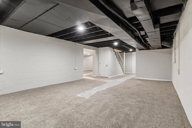 basement featuring carpet