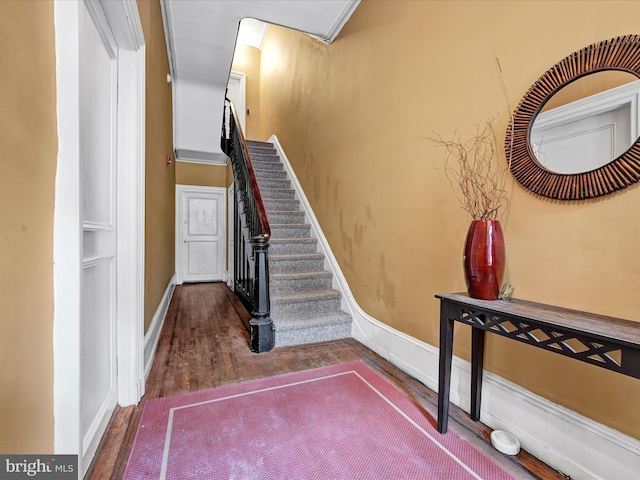 staircase featuring wood-type flooring