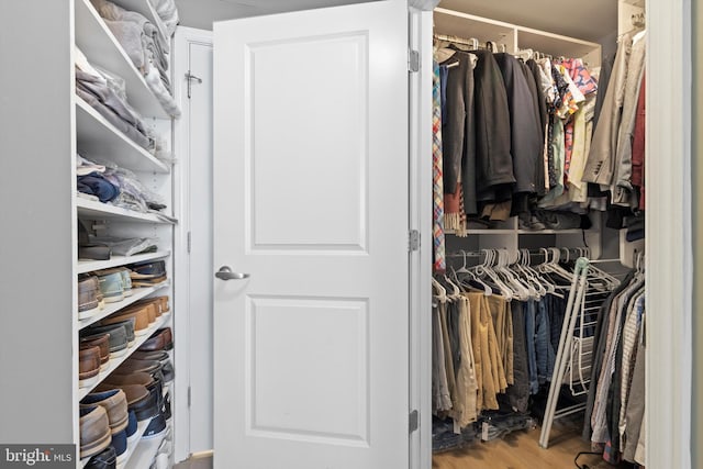 walk in closet with wood-type flooring