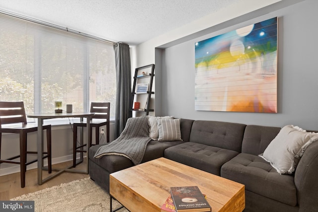 living room featuring a textured ceiling and light hardwood / wood-style flooring