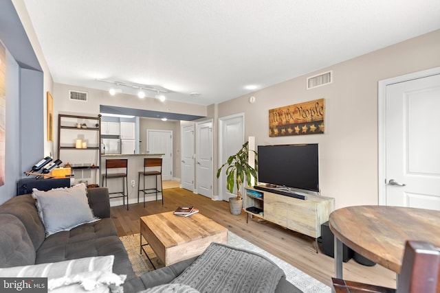 living room featuring light wood-type flooring