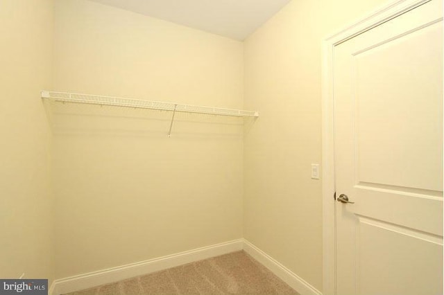 spacious closet with carpet floors