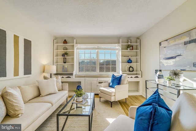 living room with hardwood / wood-style flooring and a textured ceiling