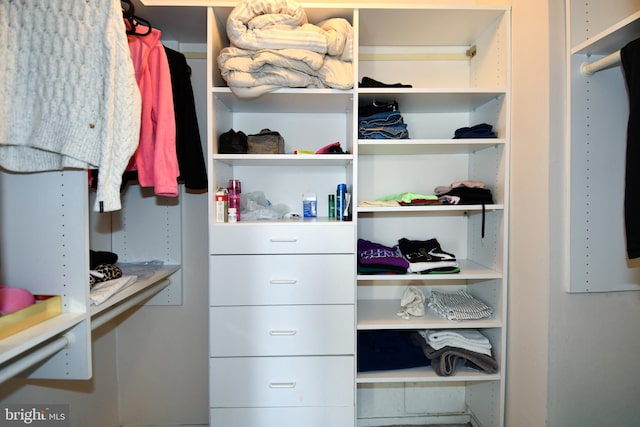 view of spacious closet