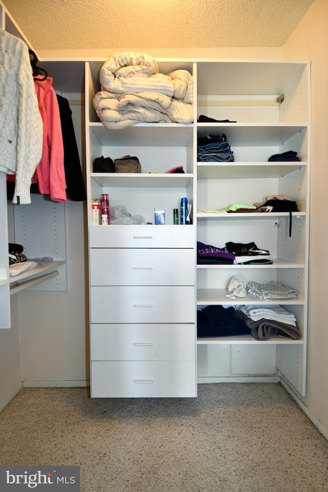 view of walk in closet