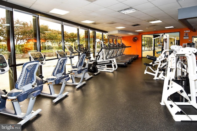 workout area with a paneled ceiling and a wall of windows