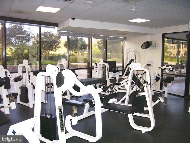 exercise room featuring a paneled ceiling and floor to ceiling windows