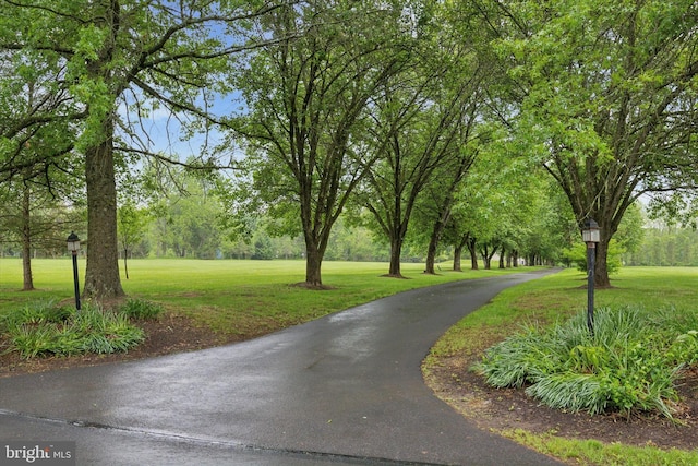 view of property's community featuring a yard