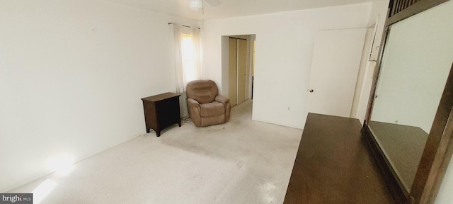 sitting room featuring carpet flooring