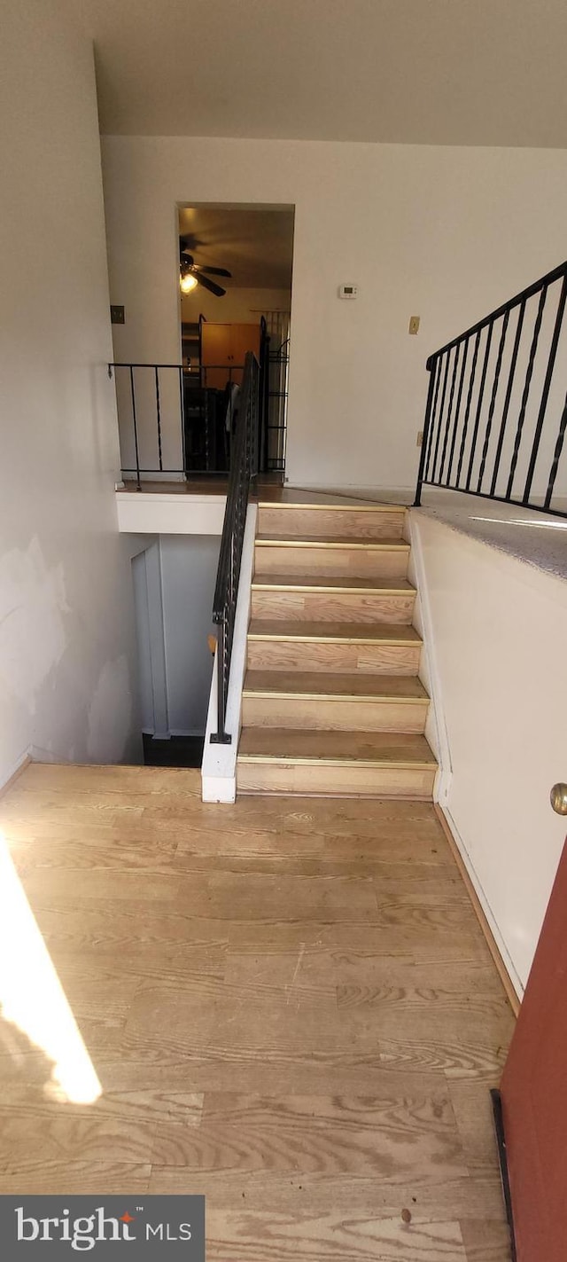 stairs with ceiling fan and wood finished floors