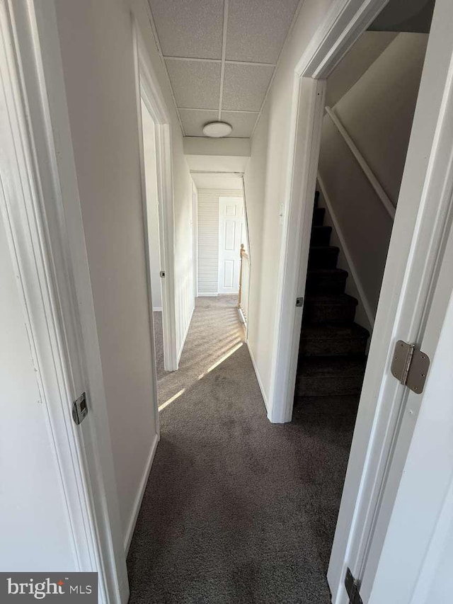 corridor with a paneled ceiling and dark carpet