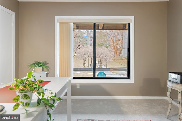 home office featuring carpet, plenty of natural light, and baseboards