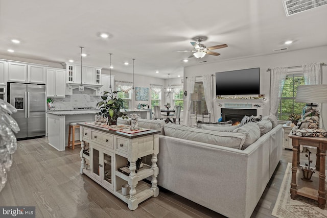 living room with wood-type flooring and ceiling fan